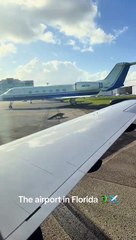 Florida Crocodile Sightings 🐊