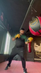 Boxing wrecking ball heavy bag free style
