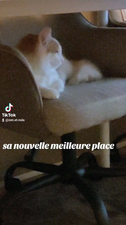 sa nouvelle meilleure place 