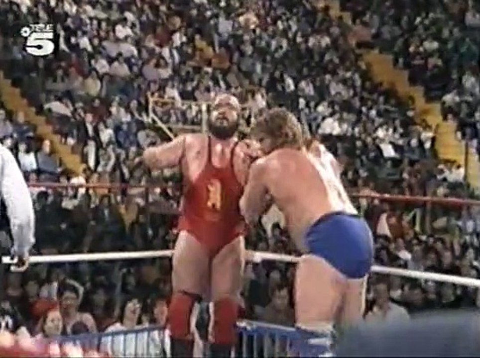 WWF Catchen (Tele5) 1990-06