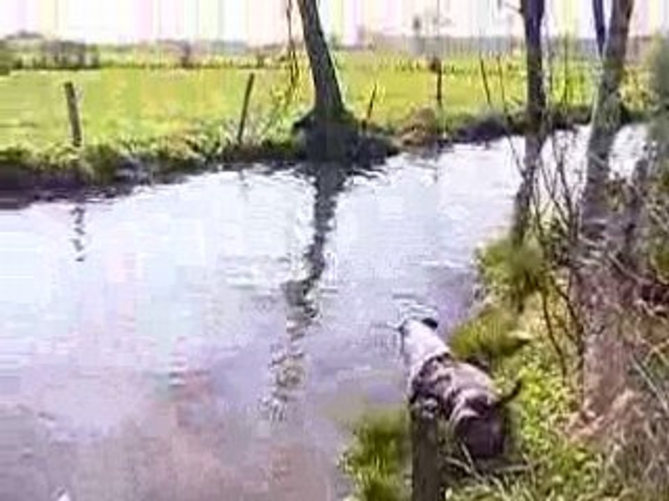 1ere baignade chouchou 24avril2008