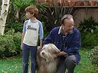 Alf Temporada 2 Capítulo 18 Español Latino