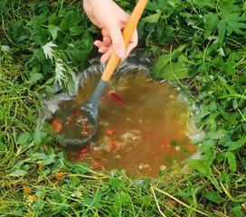 Awesome recipes to enjoy your meal outdoors!