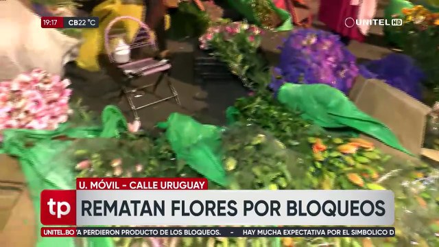 Cochabamba: Rematan flores por la sobreproducción por los bloqueos que impiden enviar a otros departamentos