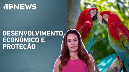Créditos de biodiversidade agora têm padrão global; Patrícia Costa analisa