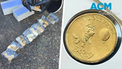 40,000 Bluey coins found during police search