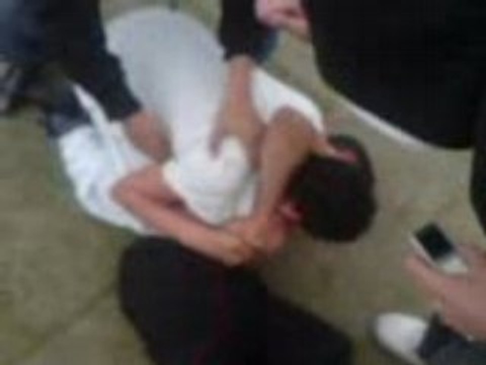 MOV00175