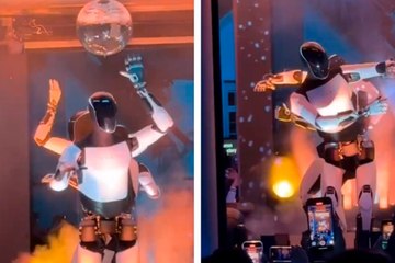 El sorprendente baile de 'Optimus', el nuevo robot humanoide de Elon Musk