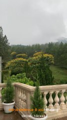 D&d Bellevue Batu Cafe Yang Memanjakan Mata Saat Healing Kesana