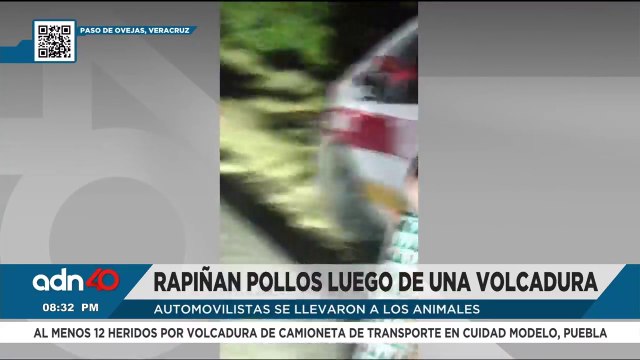 Automovilistas rapiñan pollos vivos tras volcadura de camión en Veracruz