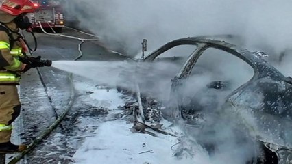 고속도로 달리던 승용차에 불...다친 사람 없어 / YTN