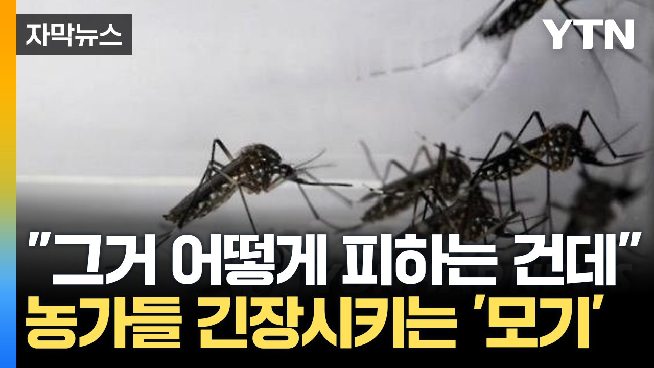 [자막뉴스] 전국 확산 조짐에 '발칵'...방제 작업 총력 / YTN