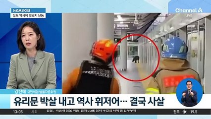 경남 양산 지하철에 100kg 멧돼지 난동