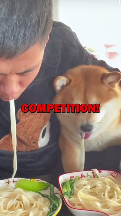 DOG & MAN NOODLE COMPETITION! #animalstories #pets #funny #cute #dog