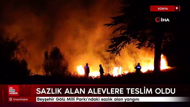 Konya'da Beyşehir Gölü Milli Parkı’ndaki sazlık alan yangını