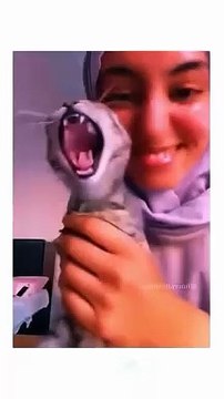 Funny animal videos #funnyanimals #pet #cat #dog #cute #animals