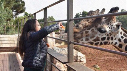 انتقادات تطال ميزانية ضخمة لإطعام حيوانات حديقة الرباط