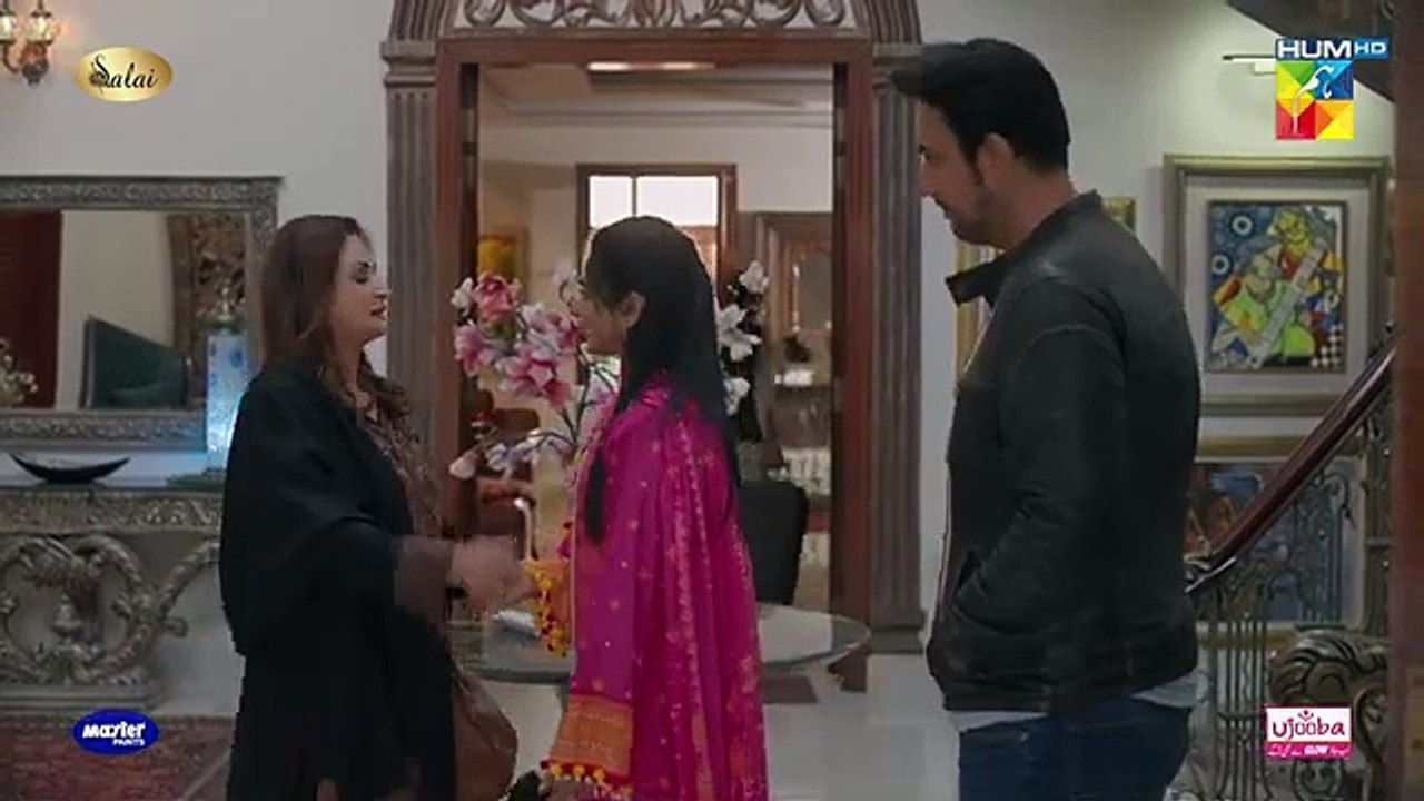 Jafaa - Ep 24 - 1st Nov 2024  - HUM TV