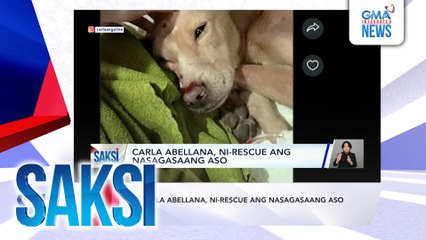 SAKSI RECAP: Carla Abellana, ni-rescue ang nasagasaang aso (Originally aired on October 29, 2024)