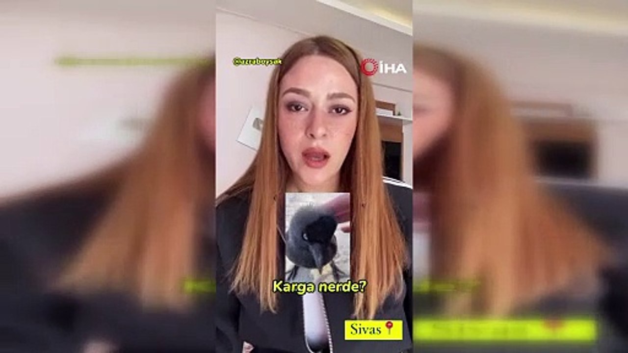 Sokakta gördüğü kargayı sevdi, başına gelmeyen kalmadı!