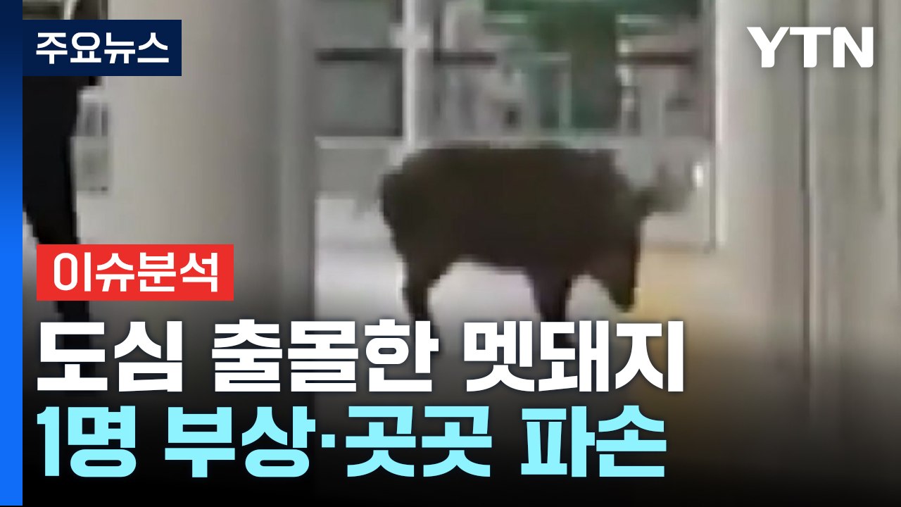 70대 할머니 뺑소니 차량에 잇따라 치여 참변...피의자의 수상한 행적 [Y녹취록]...