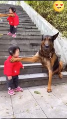 The Cutest Babysitter Ever_ _cute baby _dog #shorts