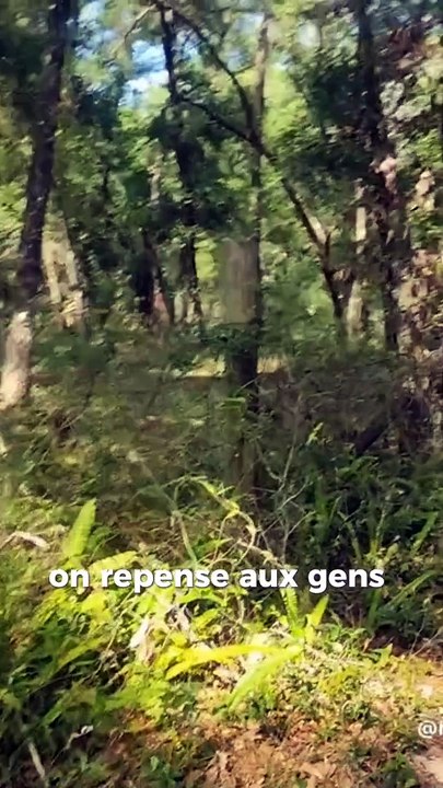 L'amour