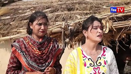 I am provided Daily Different Funny Content.