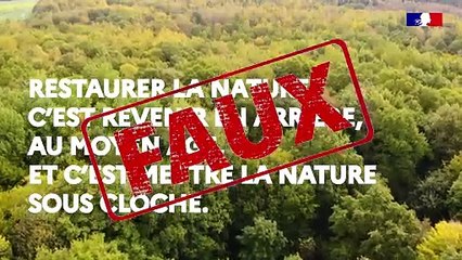 N°1 #VraiFaux : « Restaurer la nature, c’est revenir en arrière, au Moyen-Âge et c’est mettre la nature sous cloche » ❌