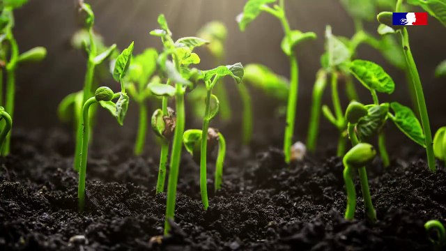 N°2 #VraiFaux : « Le règlement européen sur la restauration de la nature, c’est l’interdiction de la pêche, la chasse ou encore les pesticides » ❌