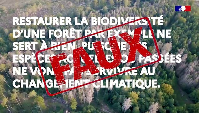 N°3 #VraiFaux : « Restaurer la biodiversité d’une forêt par exemple ne sert à rien, puisque ses espèces actuelles ou passées ne vont pas survivre au changement climatique » ❌