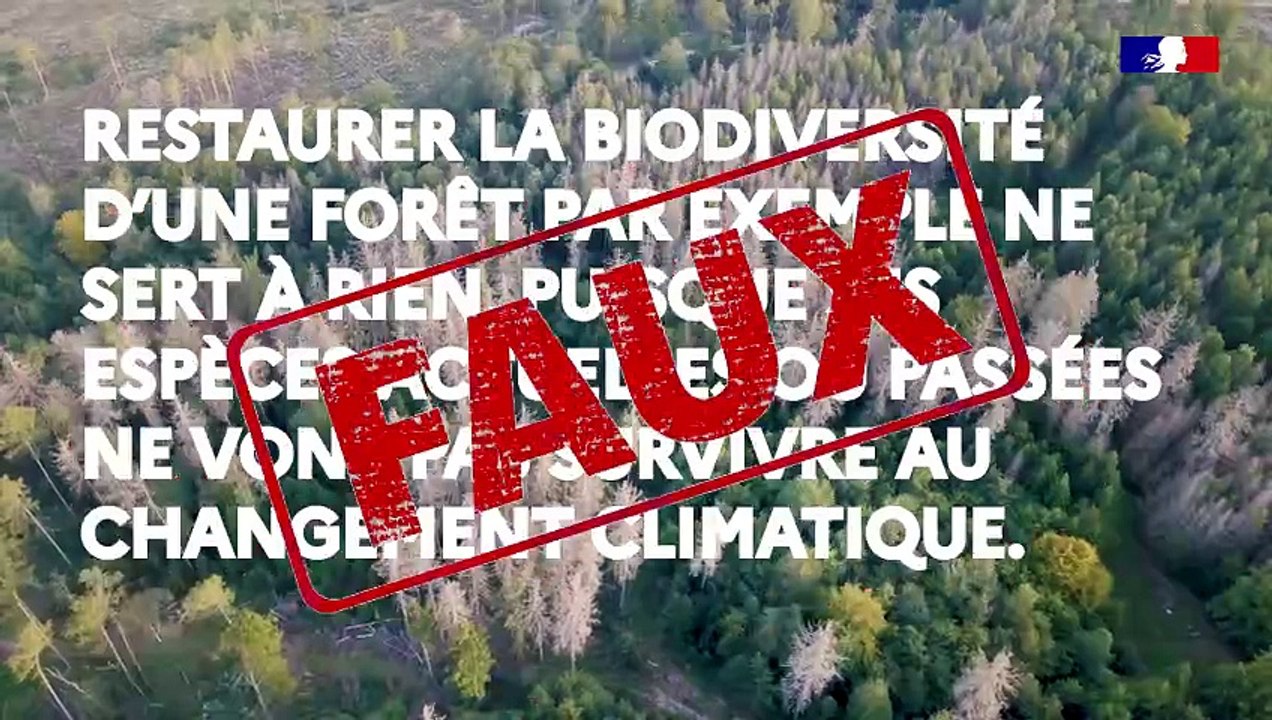 N°3 #VraiFaux : « Restaurer la biodiversité d’une forêt par exemple ne sert à rien, puisque ses espèces actuelles ou passées ne vont pas survivre au changement climatique » ❌