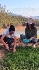 Voyager au Maroc   en taxi c'est possible !