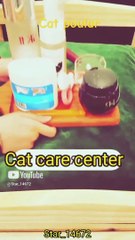 __Cat poular__ # cats #poular ytshort #vrialshort @Star_14672 (1)