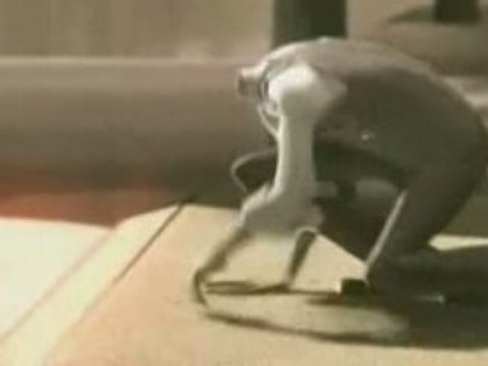 The pretty unlucky head