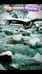 Dangerous claws of a dangerous bird