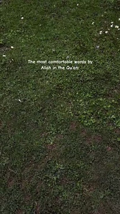 Peace #quran #Allah #top #foryou #viral #trending #dailymotion