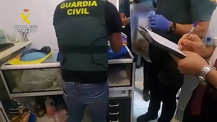 Detención club cannabico Fuerteventura