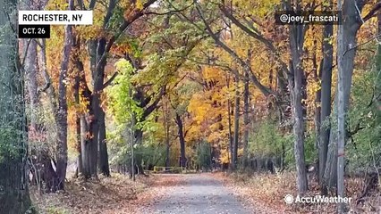 Fall foliage puts on a beautiful show across the US in the last days of October