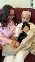 Hastings company, Clarity Comps, buys eight-year-old Amira her own therapy dog