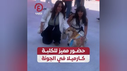 حضور مميز للكلبة كارميلا في الجونة