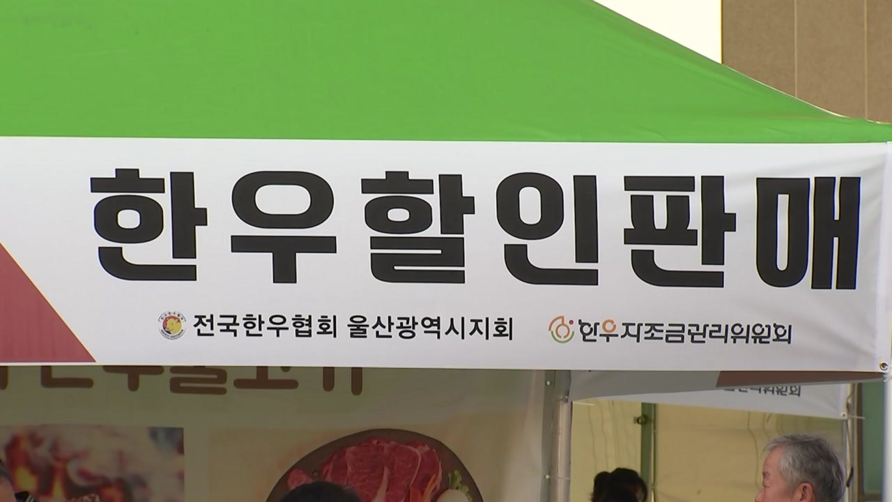 [울산] 울산 울주군 한우의 날 맞아 할인 판매행사 마련 / YTN