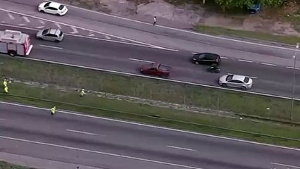 Porco causa confusão e interrompe o trânsito na Niterói-Manilha