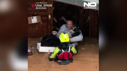 İspanya'da selde mahsur kalan bir kadın ve köpeği helikopterle kurtarıldı