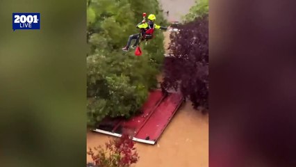 Héroes en acción: Bomberos rescatan a mujer y sus mascotas