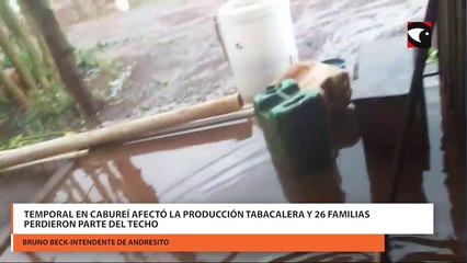 Temporal en Cabureí afectó la producción tabacalera y 26 familias perdieron parte del techo