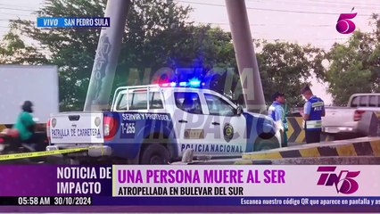 TN5 Matutino - 30 de octubre de 2024