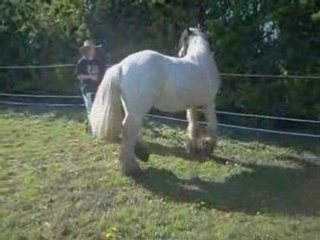 séance éthologie le 24/04/08