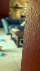 Girl is giving her baby sister a roller coaster ride!