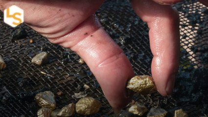 There’s Too Much Gold In The Universe -Knowledge